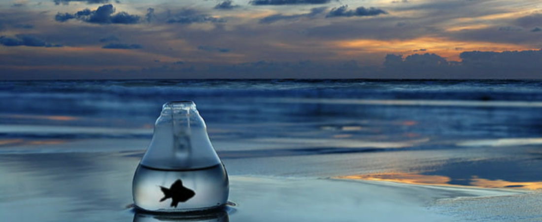 Leadership can be lonely—but it doesn’t have to be